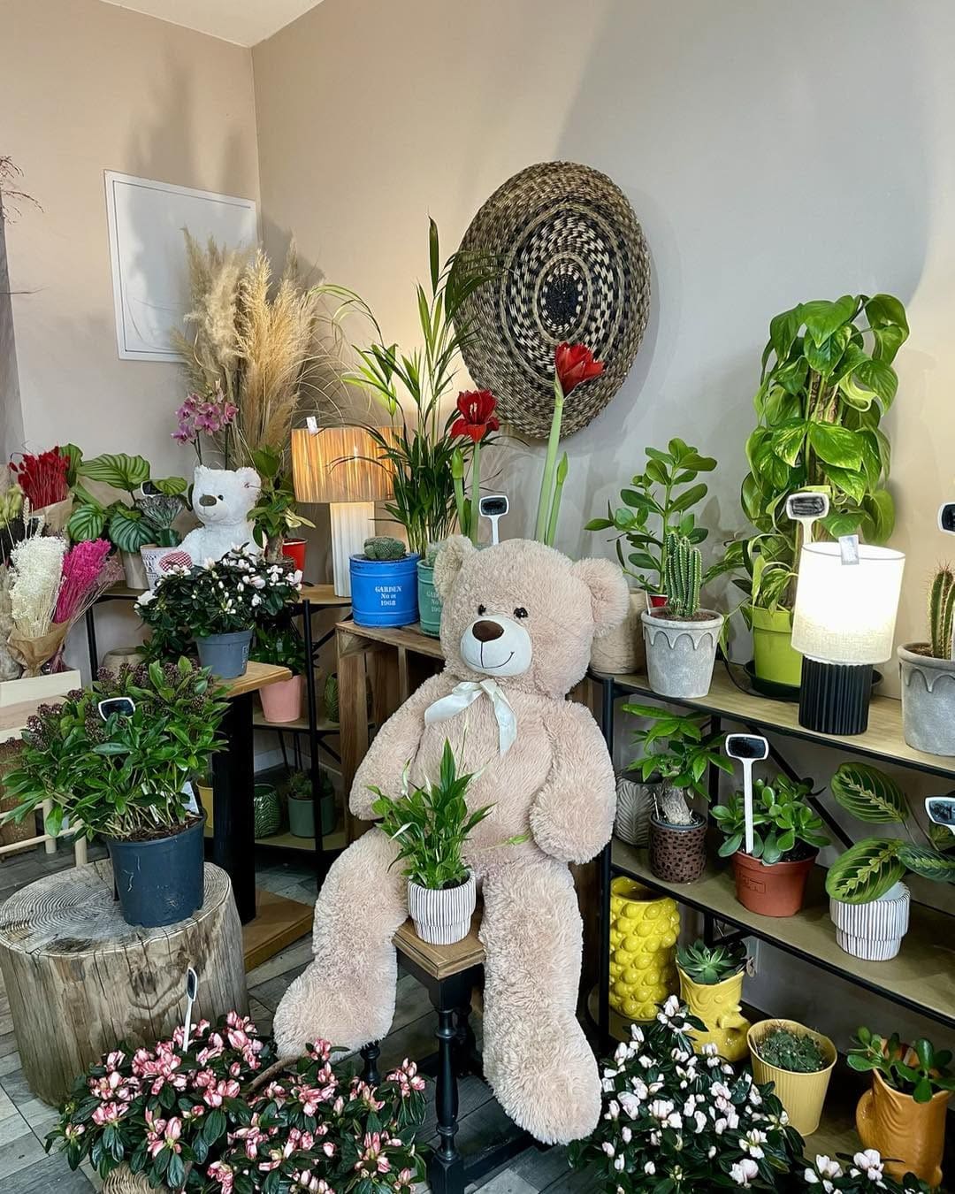 Réalisation florale — Compositions du quotidien