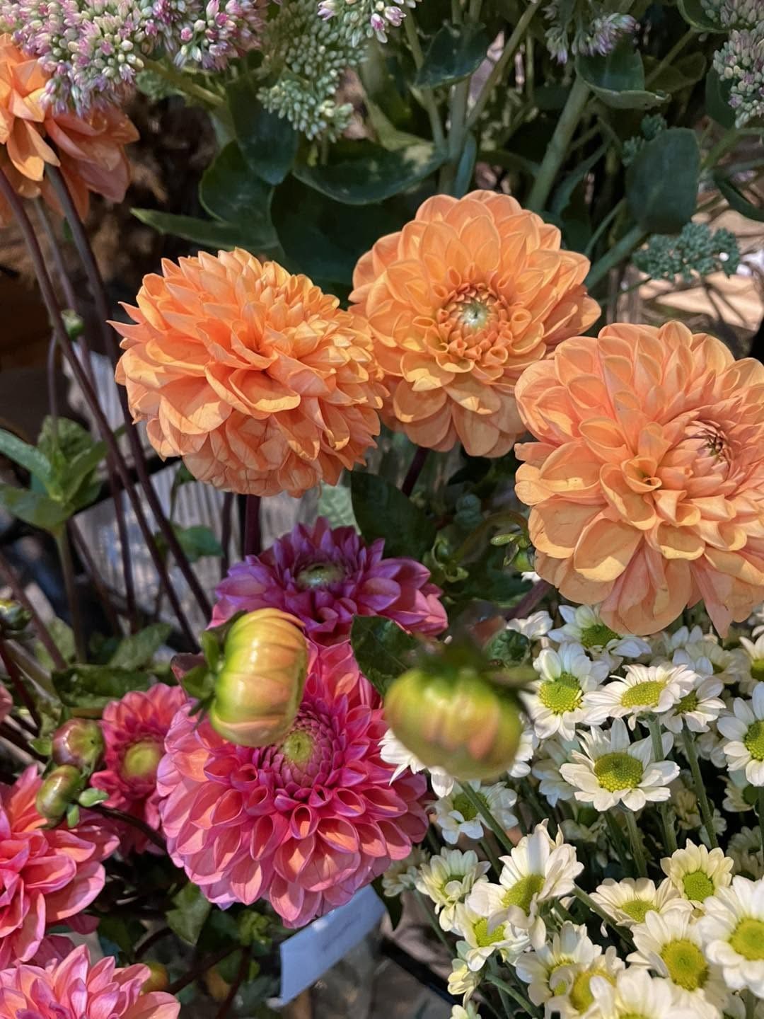 Réalisation florale — Compositions du quotidien